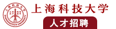 鸡巴进入小穴视频