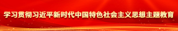 老穴插插学习贯彻习近平新时代中国特色社会主义思想主题教育